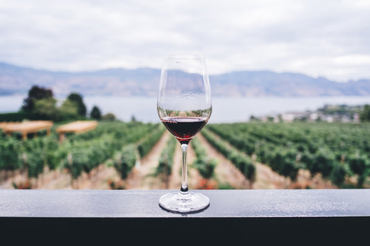Consejos para elegir la copa perfecta de vino