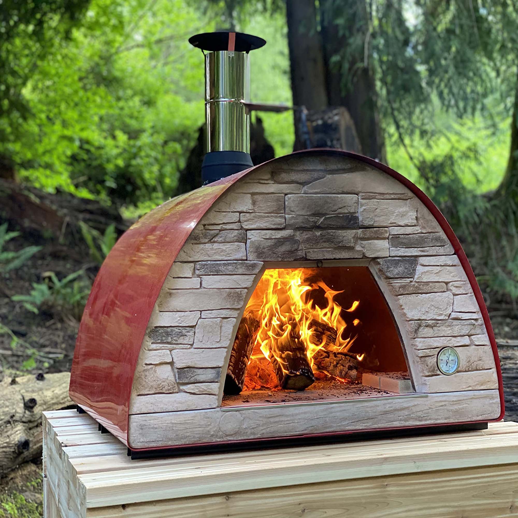 Pizza oven(horno de leña y gas) 