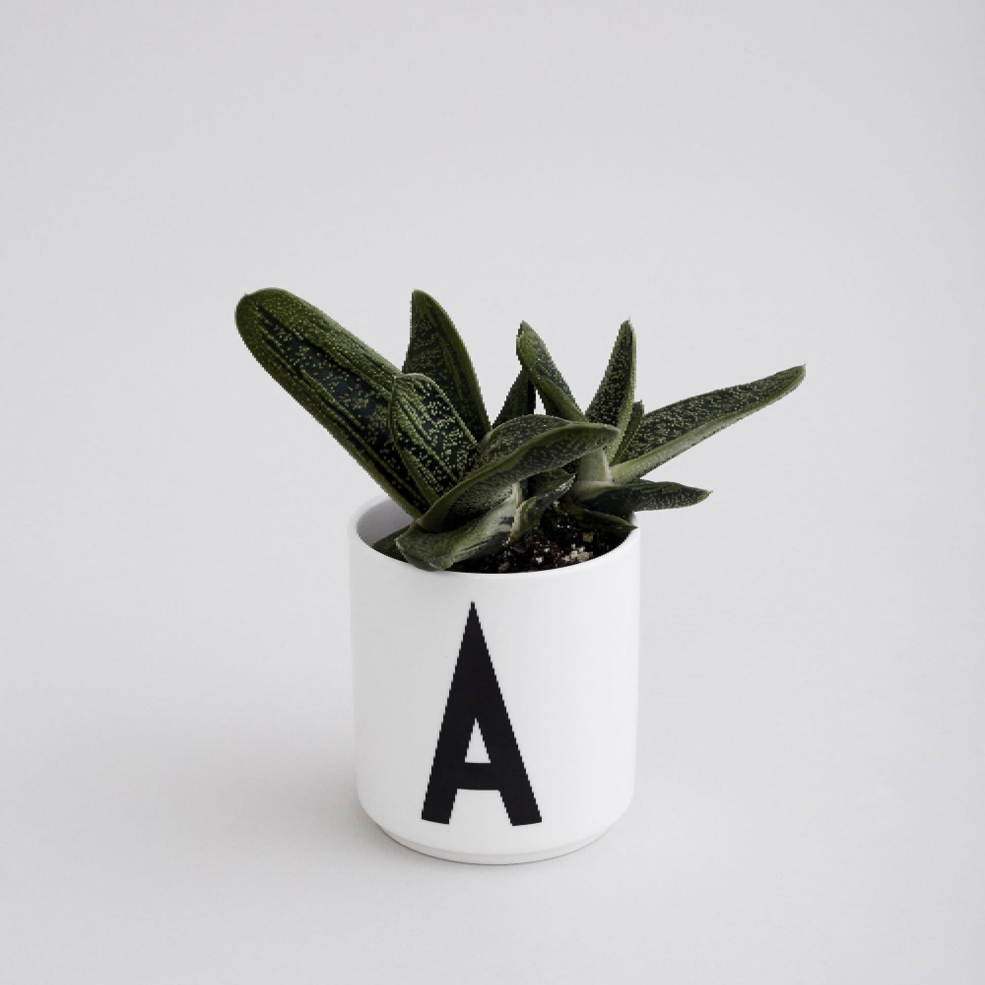 Taza Blanca De Porcelana - A Design Letters2#Blanco