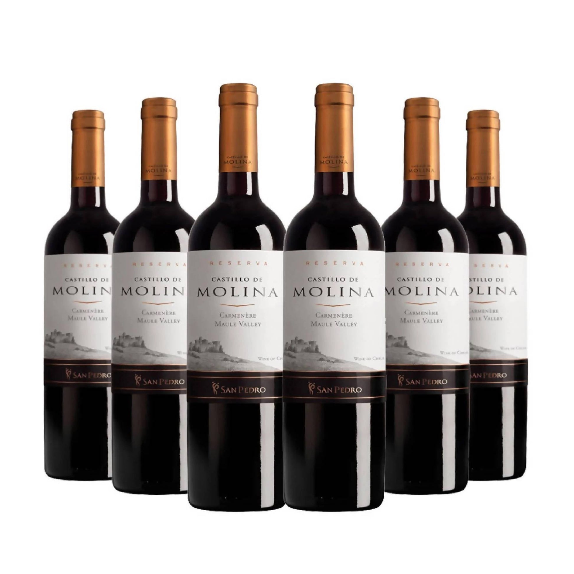 6 Vinos Castillo de Molina Carmenere2#Sin color