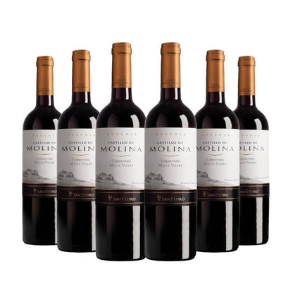 6 Vinos Castillo de Molina Carmenere2#Sin color