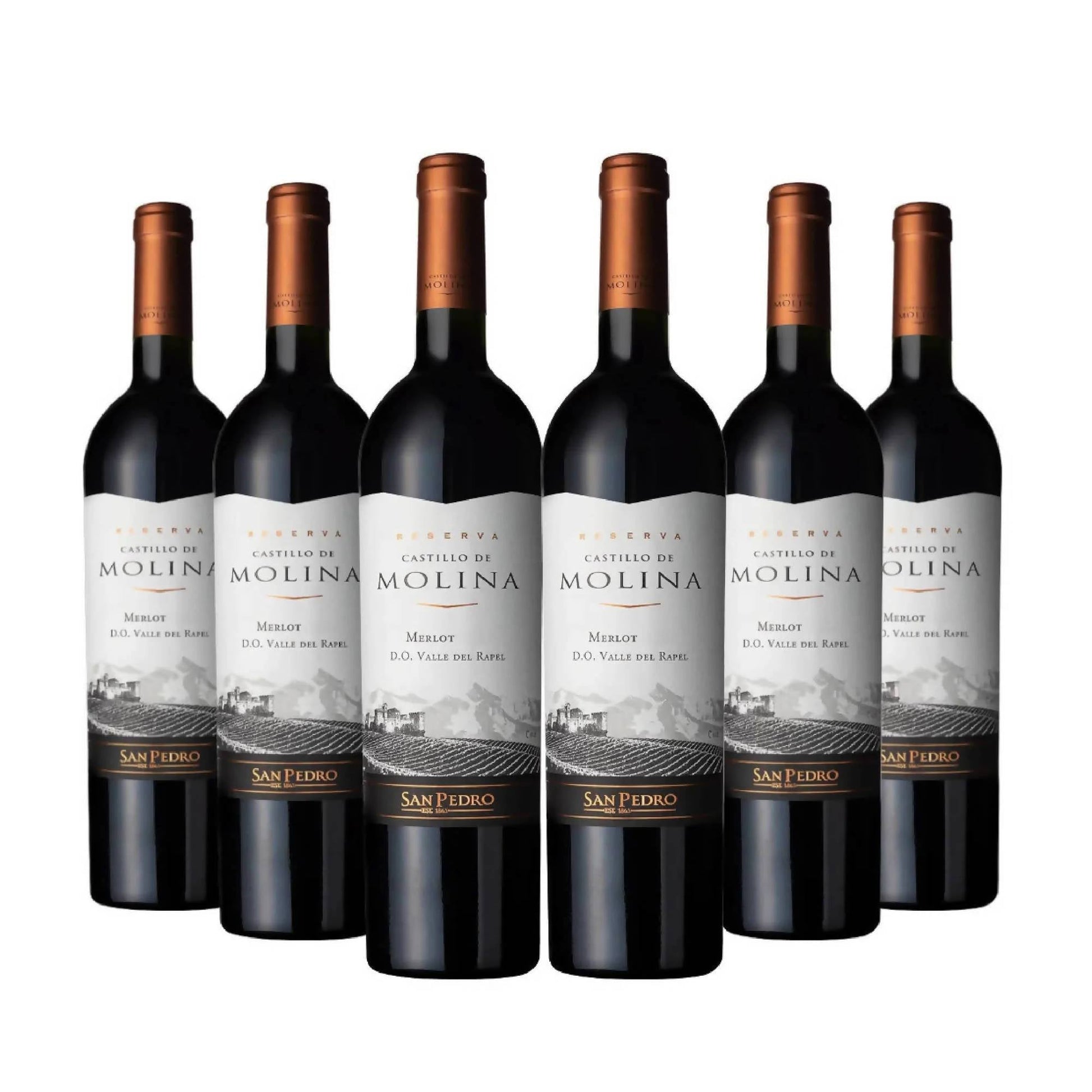 6 Vinos Castillo de Molina Merlot2#Sin color