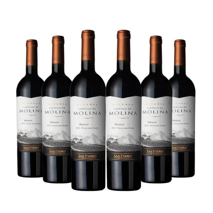 6 Vinos Castillo de Molina Merlot2#Sin color